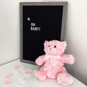 Georgie Teddy Bear Pink - PrettyLittleGiftBox